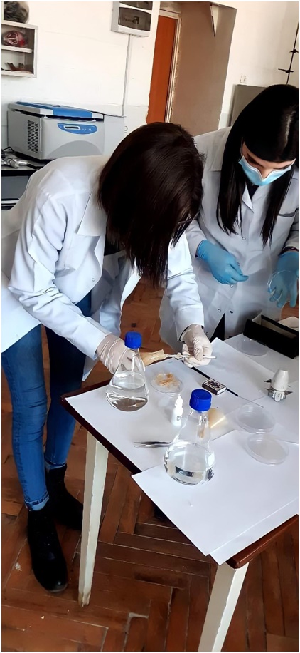 lab in action