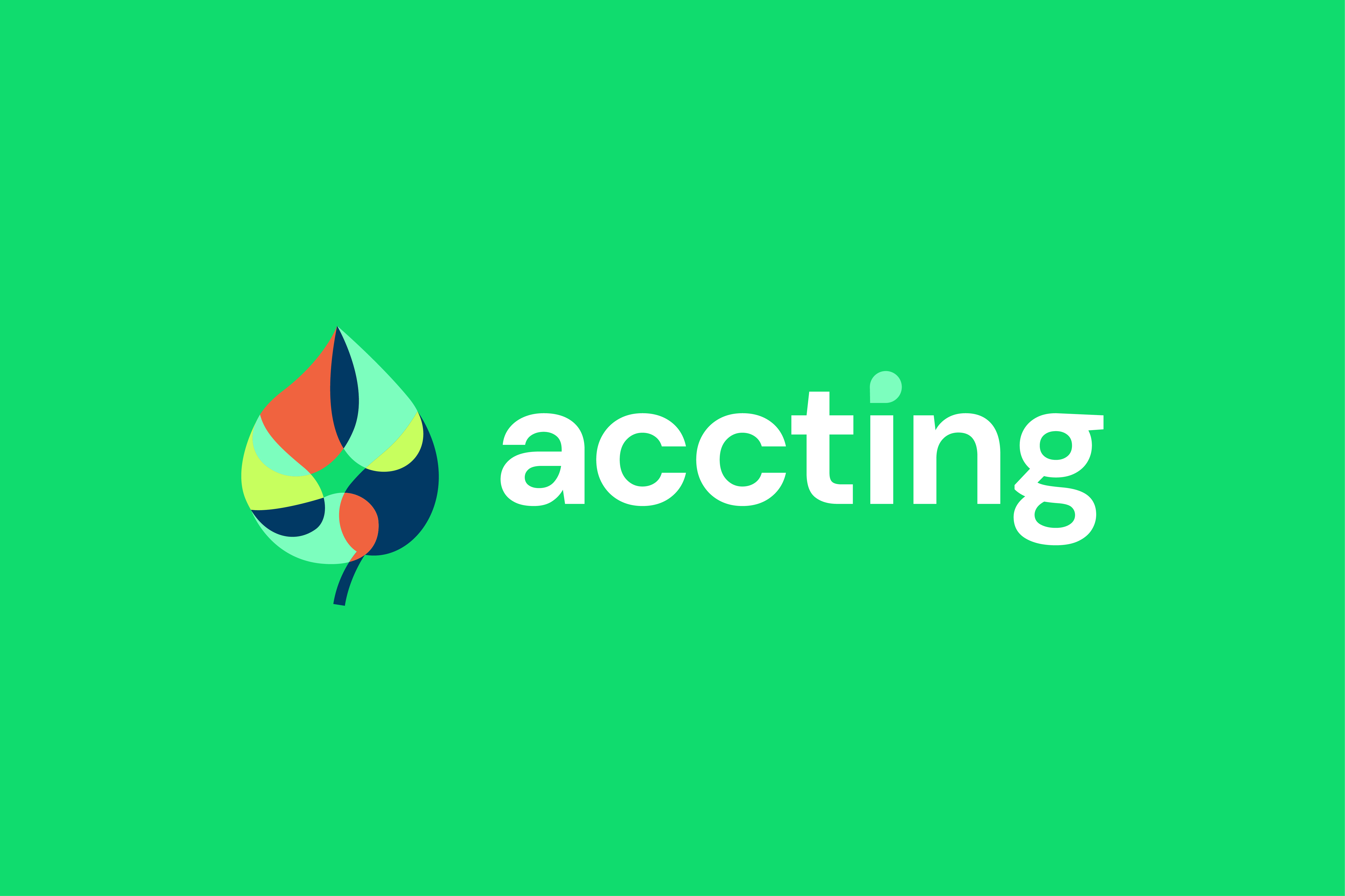 ACCTING project: Newsletter #3